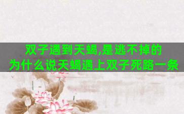 双子遇到天蝎,是逃不掉的 为什么说天蝎遇上双子死路一条